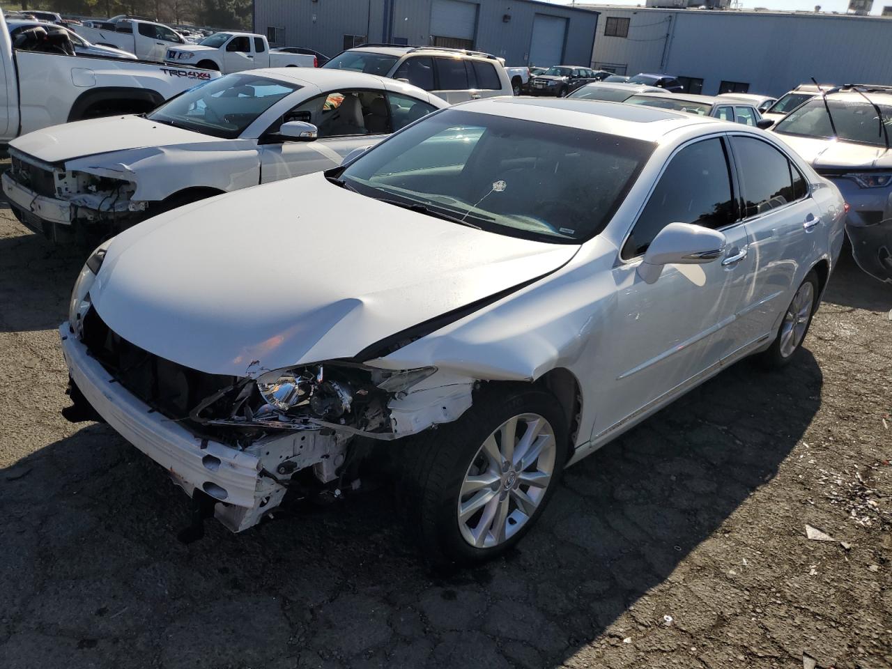Изображение 2010 LEXUS ES 350 2010