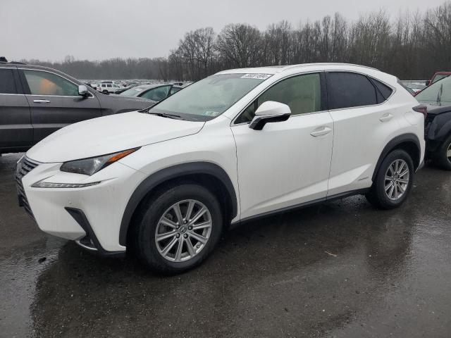 Obraz 2018 LEXUS NX 300H 2018