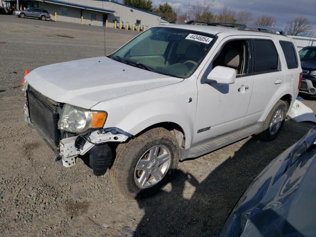 Obraz 1 z 2008 FORD ESCAPE HEV 2008 z VIN 1FMCU59H88KC66353