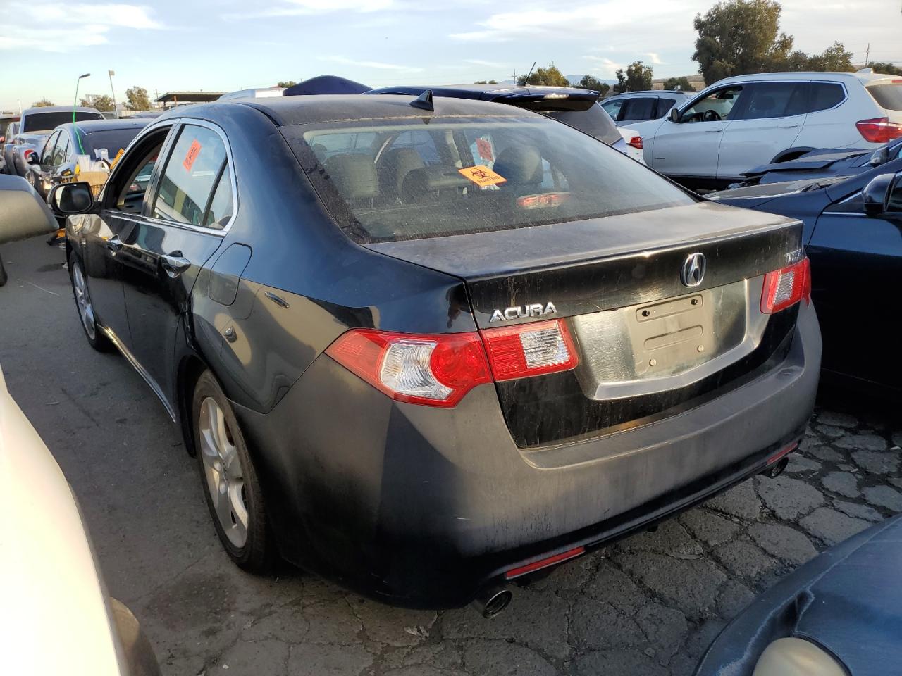 Image 2 of 2009 ACURA TSX  2009 with VIN JH4CU26609C032854