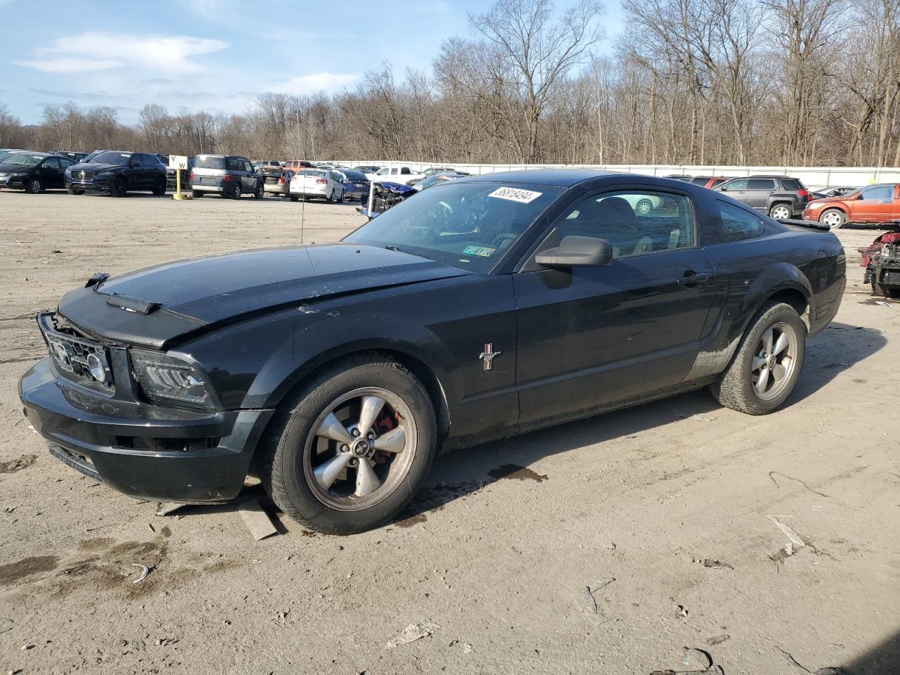 2007 FORD MUSTANG  2007 image