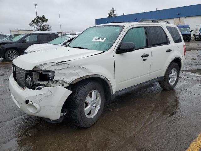 2010 FORD ESCAPE XLT 2010 image