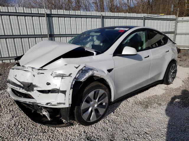 2021 Tesla MODEL Y 2021 image