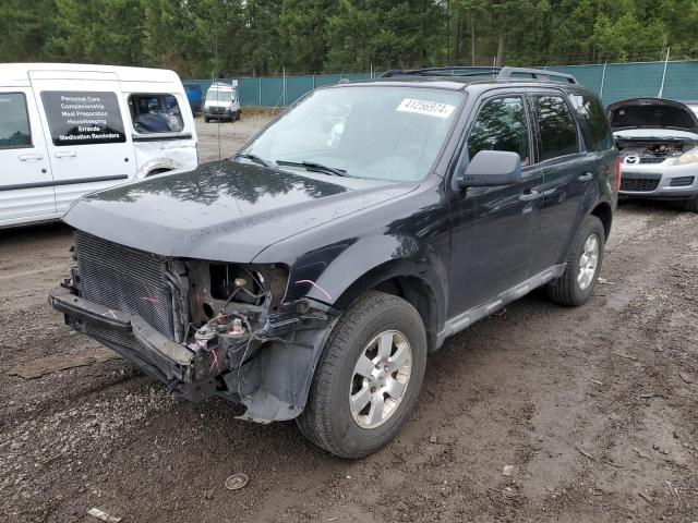 Obraz 2009 FORD ESCAPE XLT 2009