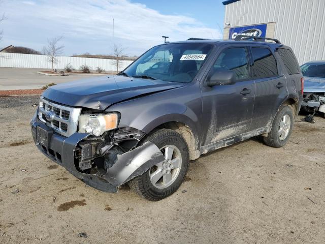 Image 1 of 2009 FORD ESCAPE XLT 2009 with VIN 1FMCU03729KA66427