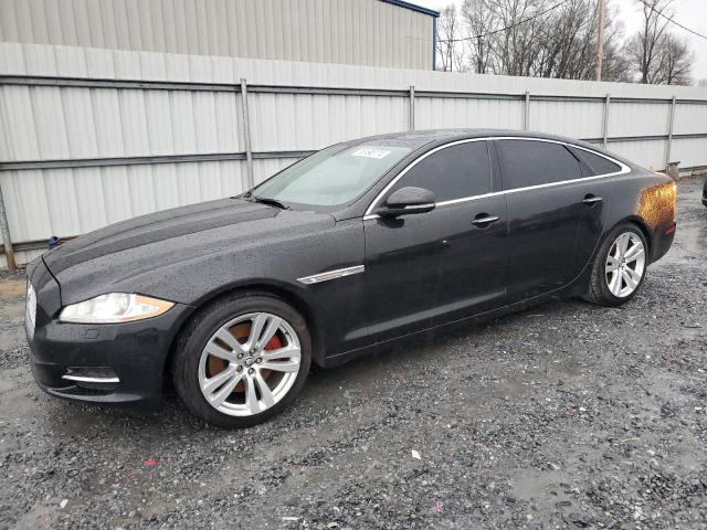 Obraz 2011 JAGUAR XJL  2011