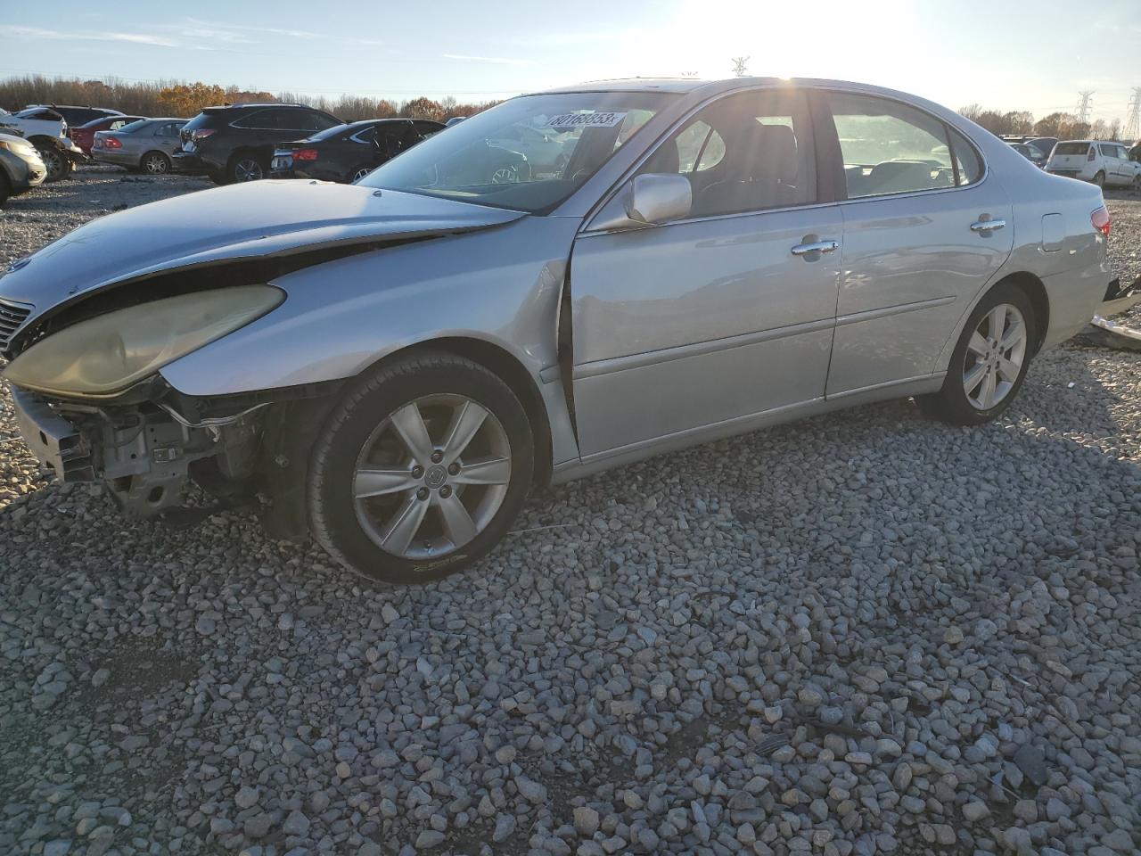 2005 LEXUS ES 330 2005 image