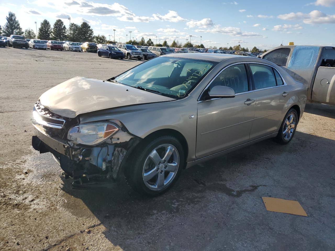 2008 CHEVROLET MALIBU 1LT 2008 image