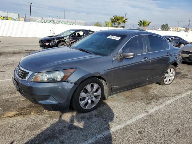 Image 1 of 2010 HONDA ACCORD EXL 2010 with VIN 1HGCP2F83AA195123