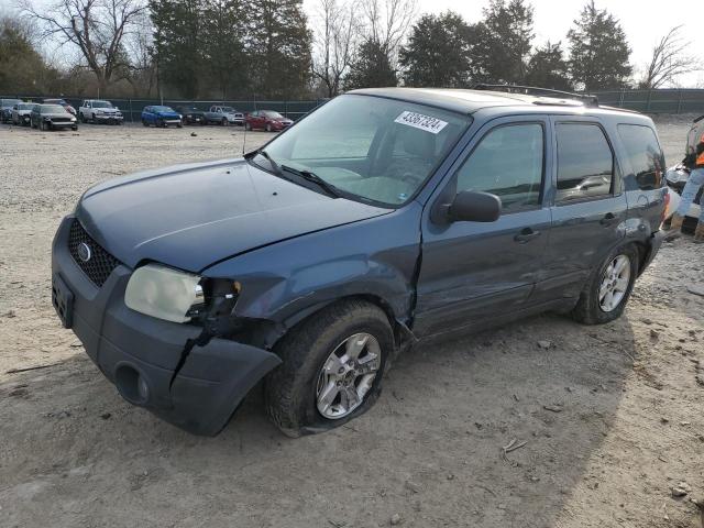 2005 FORD ESCAPE XLT 2005 image