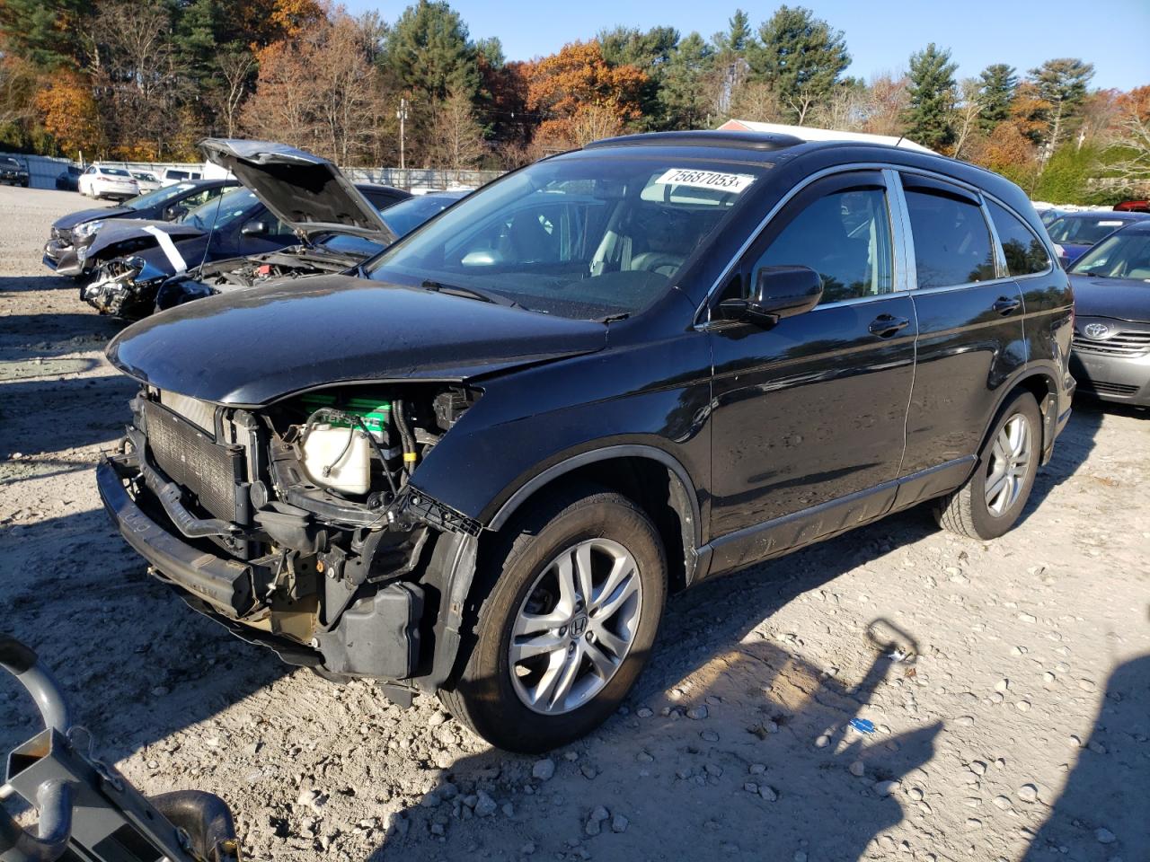 2011 HONDA CR-V EXL 2011 image