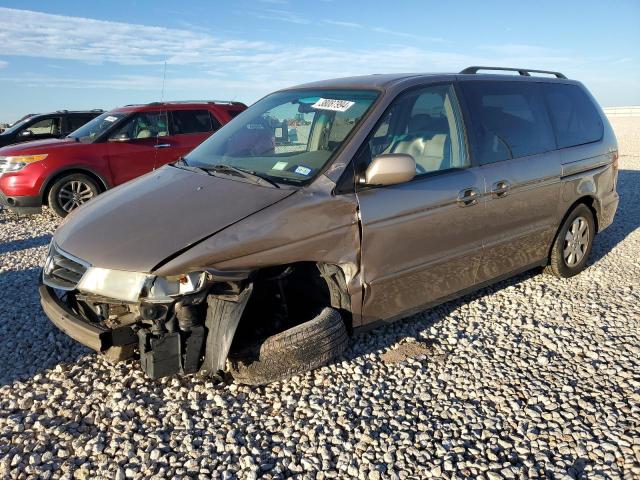 2004 HONDA ODYSSEY EXL 2004 image