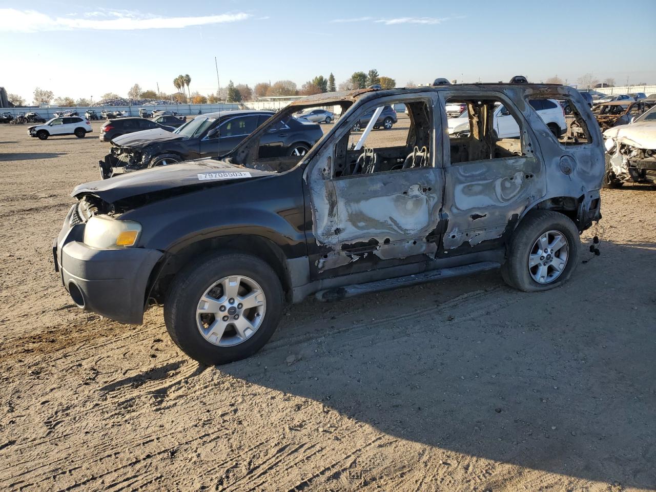 2005 FORD ESCAPE XLT 2005 image
