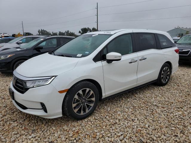2021 HONDA ODYSSEY EXL 2021 image