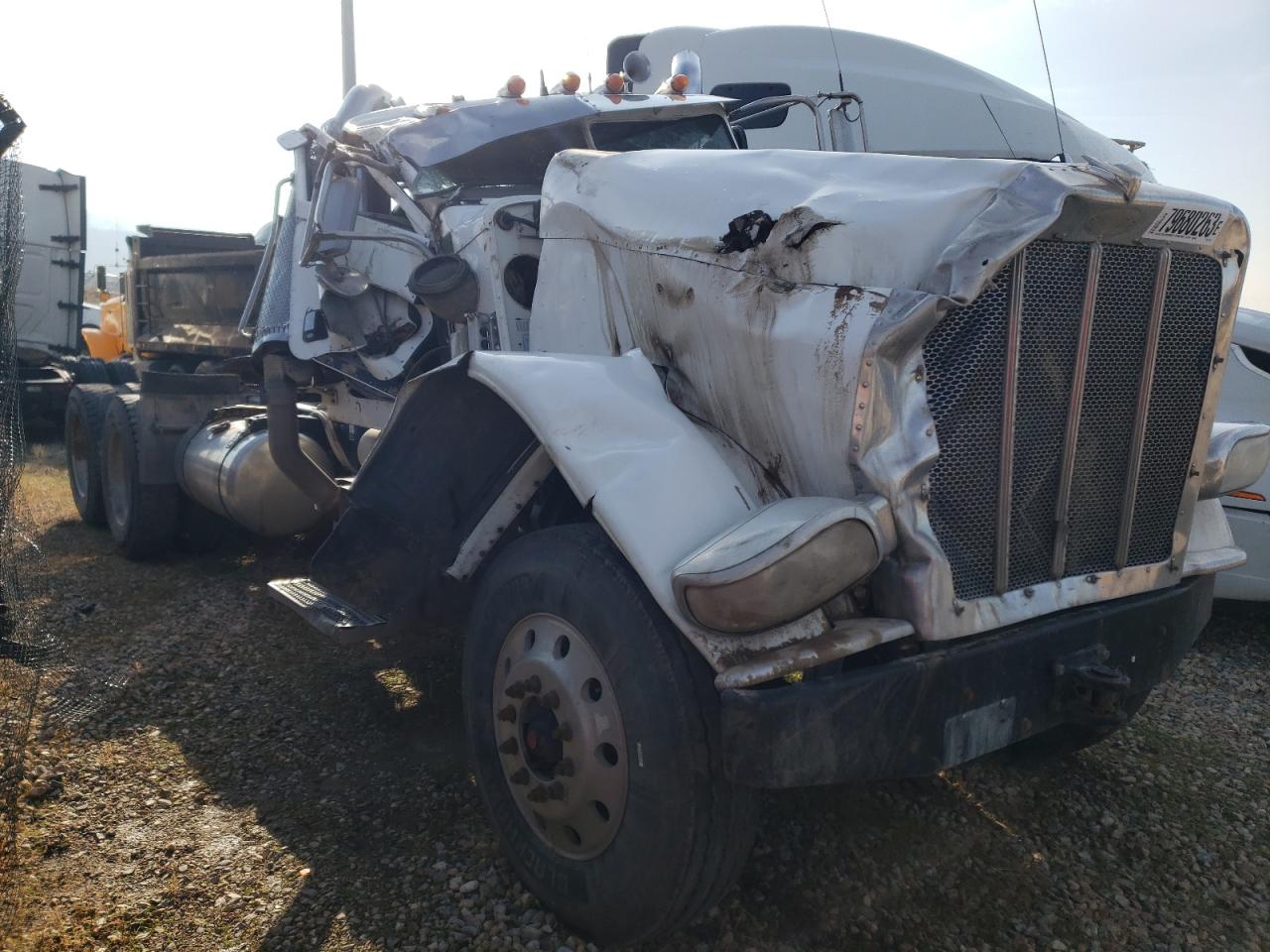 Obraz 2009 PETERBILT 388  2009