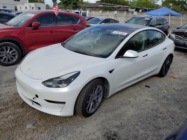2023 TESLA MODEL 3  2023 image