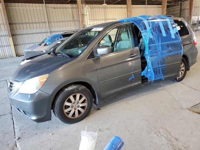 2008 HONDA ODYSSEY EXL 2008 image
