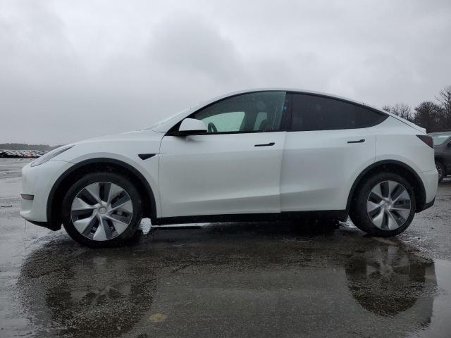 Obraz 2022 TESLA MODEL Y  2022