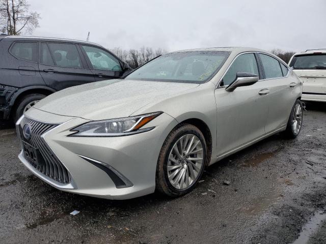 Obraz 2019 LEXUS ES 300H 2019