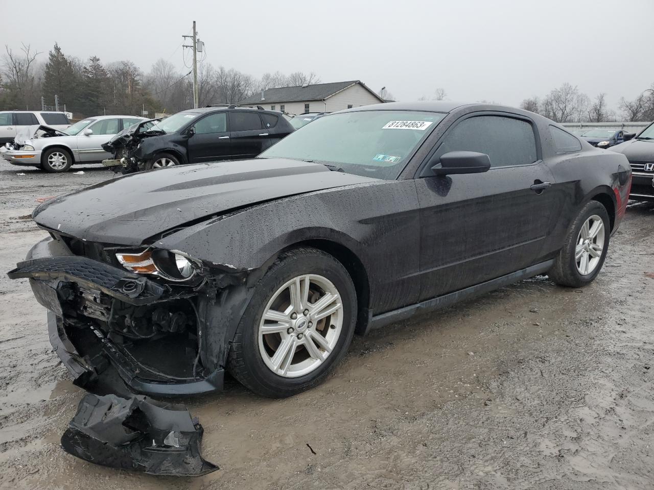 Image 1 of 2012 FORD MUSTANG  2012 with VIN 1ZVBP8AM2C5213444