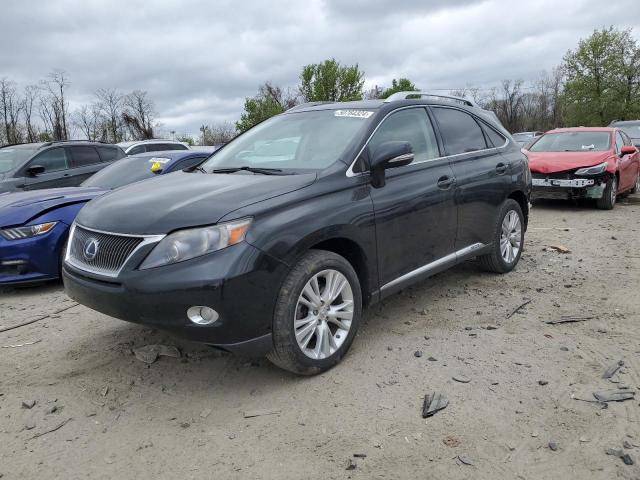 Изображение 2010 LEXUS RX 450 2010