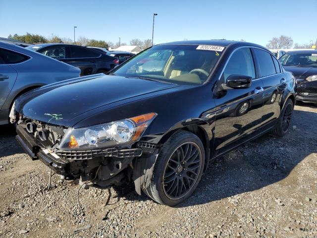 2008 HONDA ACCORD EXL 2008 image