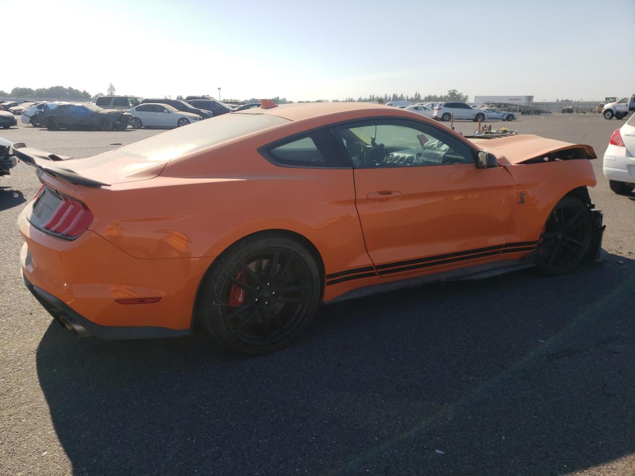 Изображение 3 2021 FORD MUSTANG SHELBY GT500 2021 с VIN 1FA6P8SJ8M5501212