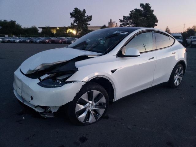 Obraz 2023 TESLA MODEL Y  2023