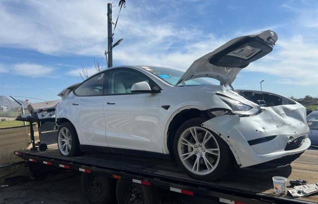 Obraz 2021 TESLA MODEL Y  2021