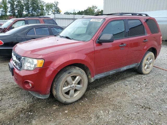 Obraz 1 z 2011 FORD ESCAPE XLT 2011 z VIN 1FMCU0D77BKC49908