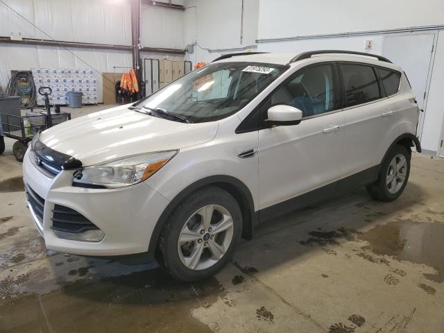2016 FORD ESCAPE SE 2016 image