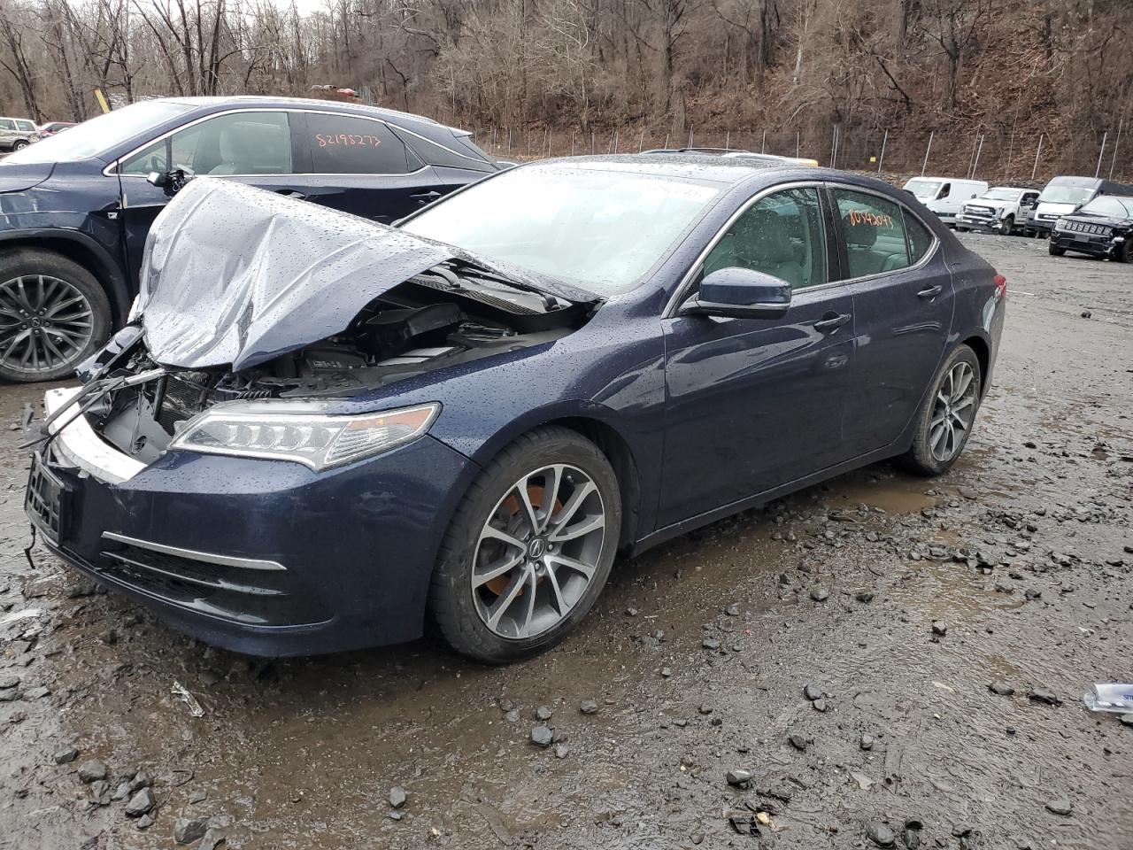 Obraz 2015 ACURA TLX TECH 2015