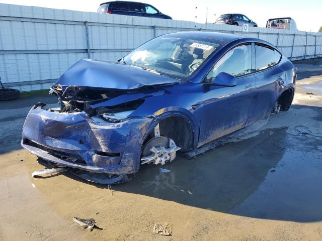 2023 TESLA MODEL Y  2023 image