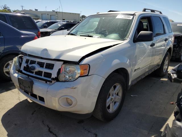 Obraz 2009 FORD ESCAPE HYBRID 2009