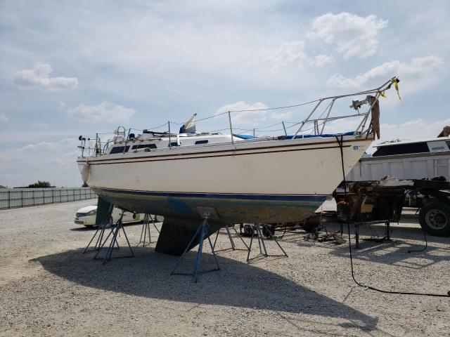 Obraz 1988 Cchm Catal31mks 1988