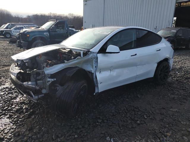Изображение 2023 TESLA MODEL Y  2023
