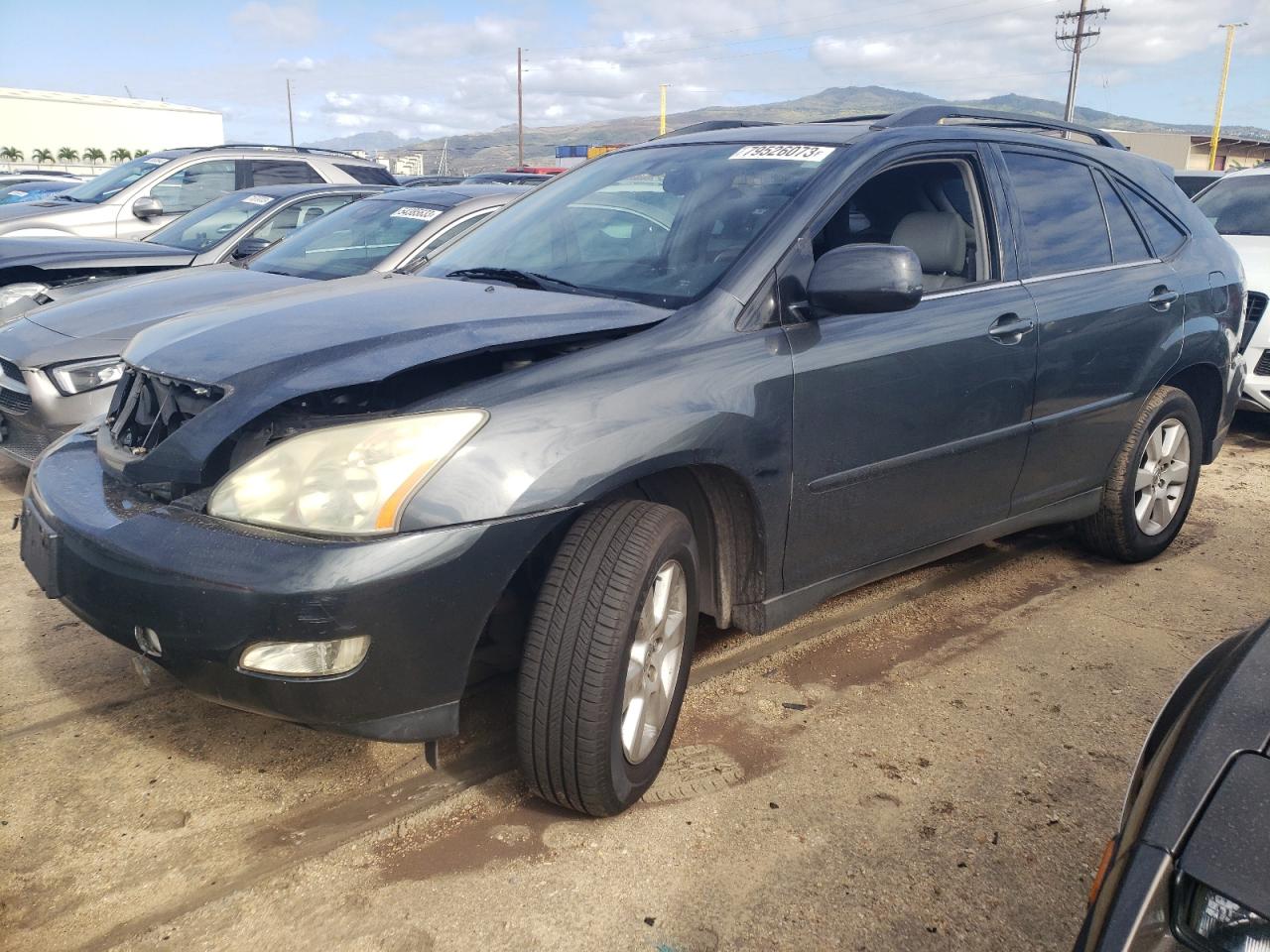 Image 1 of 2004 LEXUS RX 330 2004 with VIN JTJGA31U240028724