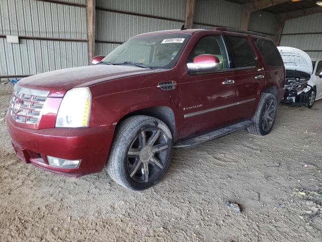 2009 CADILLAC ESCALADE  2009 image