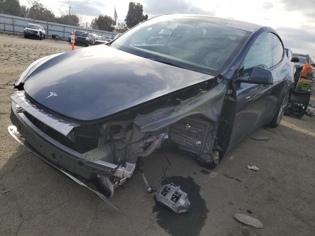 2023 TESLA MODEL Y  2023 image