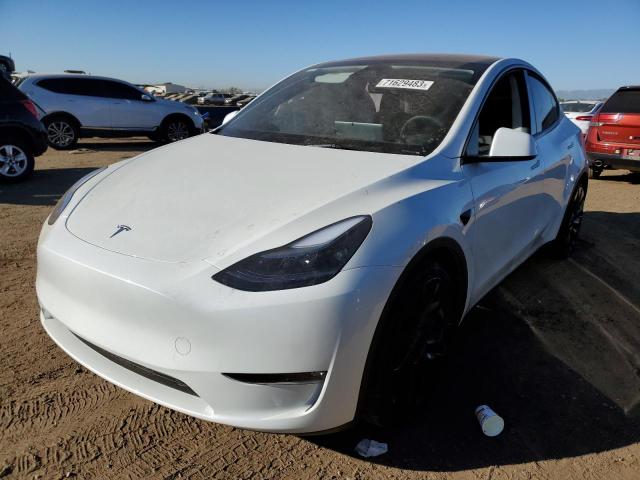 2023 TESLA MODEL Y  2023 image