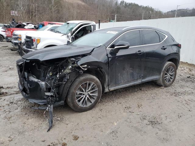 Изображение 2023 LEXUS NX 350 2023