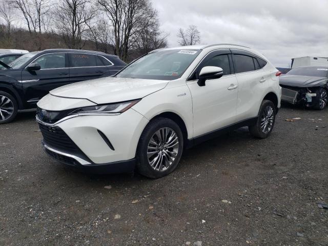 Obraz 2021 TOYOTA VENZA LE 2021