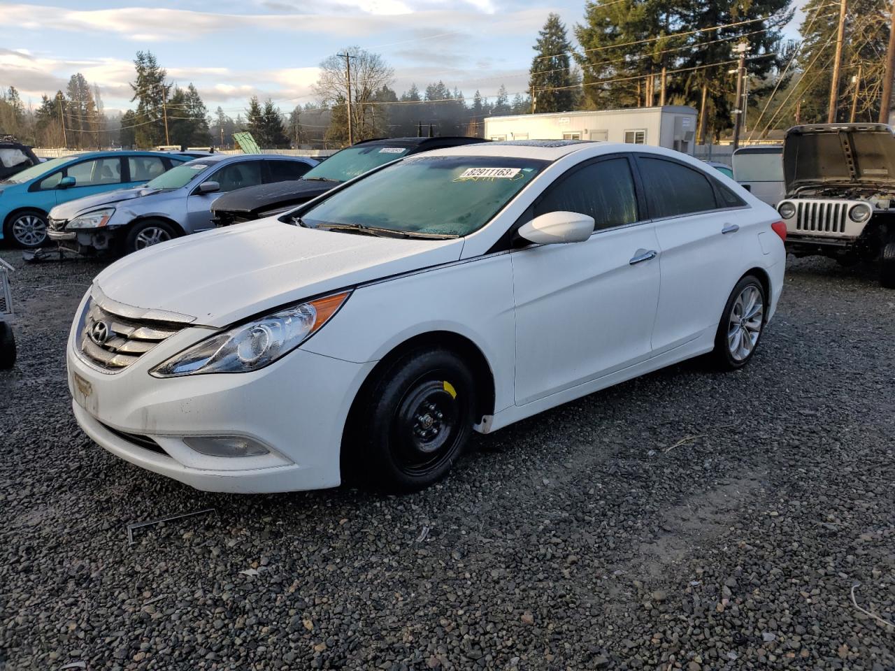 2013 HYUNDAI SONATA SE 2013 image