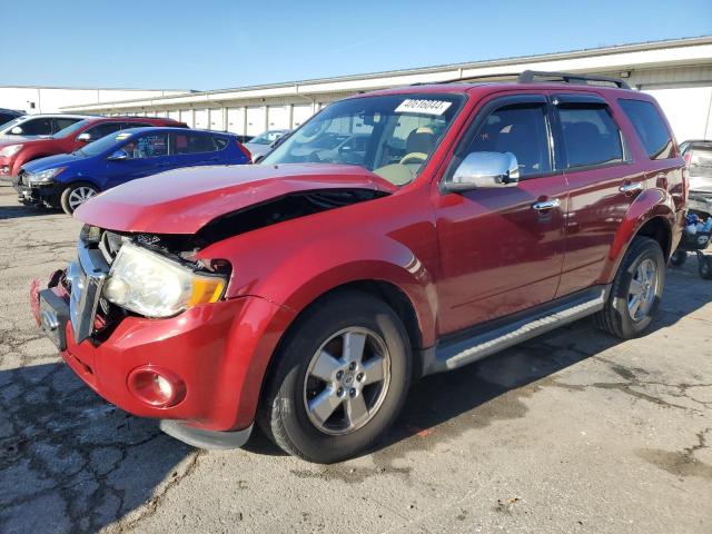 Image 1 of 2010 FORD ESCAPE XLT 2010 with VIN 1FMCU0DG4AKA12033