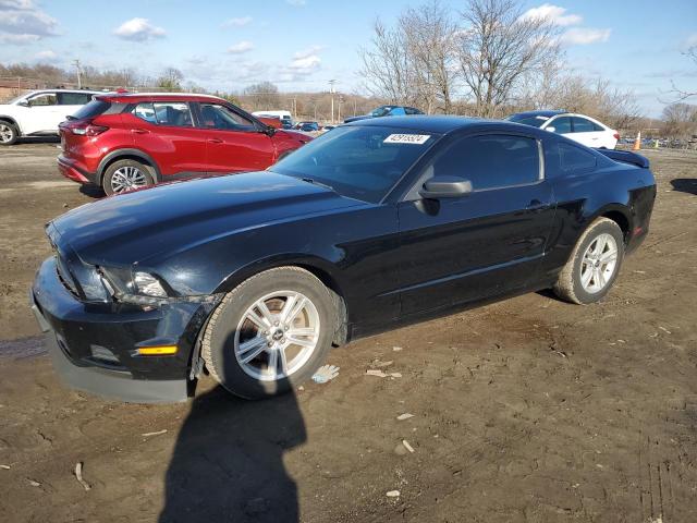 Obraz 2014 FORD MUSTANG  2014