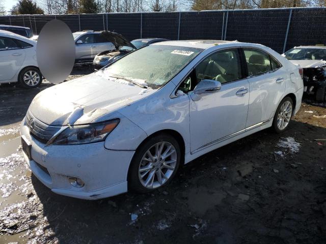 Изображение 2010 LEXUS HS 250H 2010