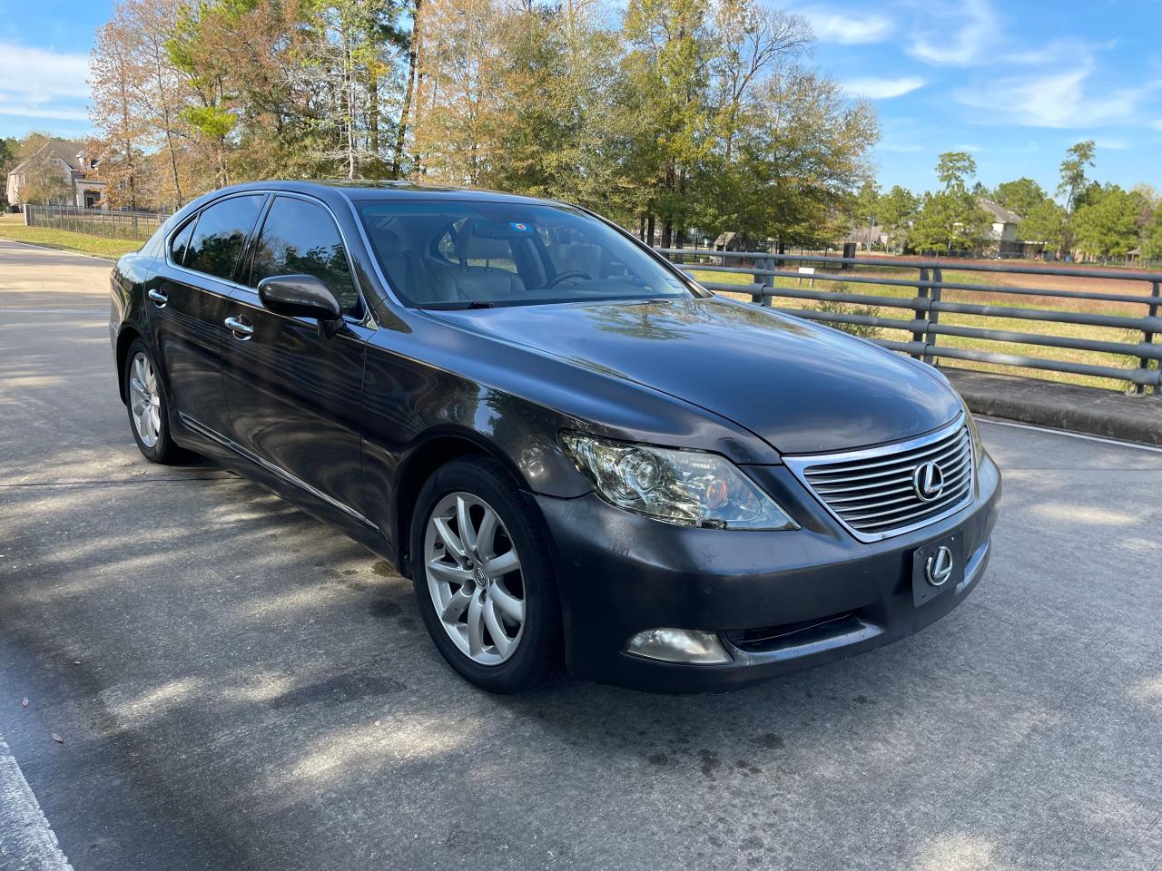 Изображение 2008 LEXUS LS 460 2008