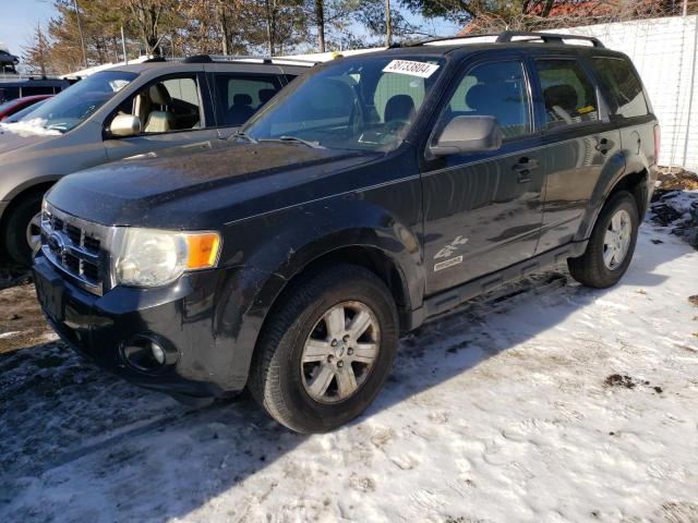 2008 FORD ESCAPE XLT 2008 image