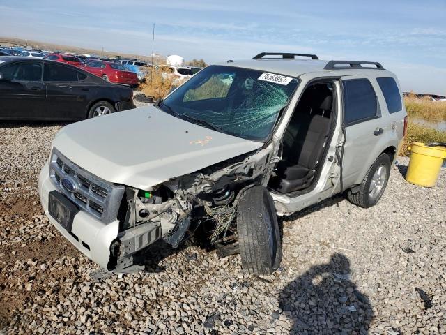 Image 1 of 2009 FORD ESCAPE XLT 2009 with VIN 1FMCU93G69KA18031