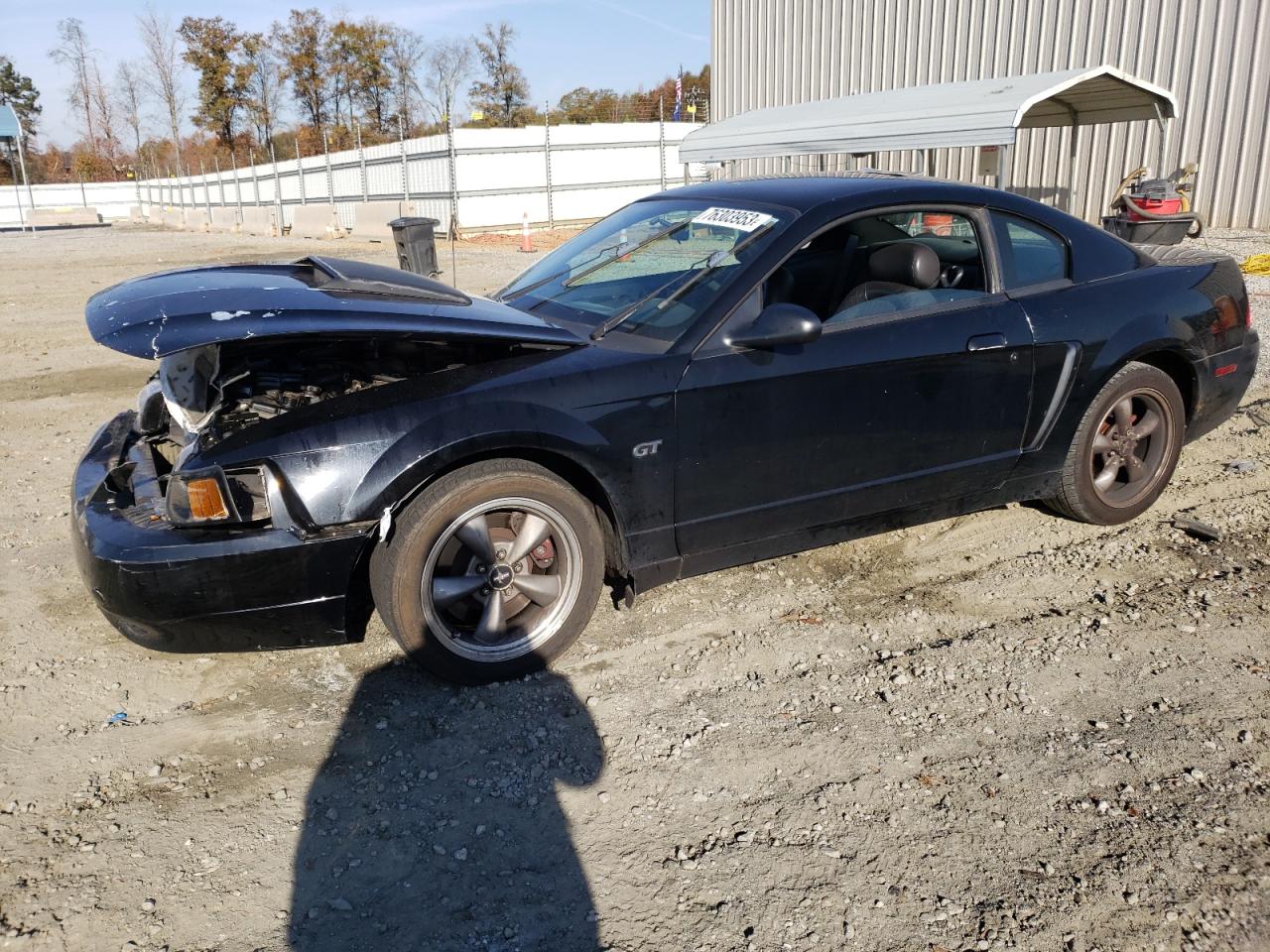Obraz 2001 FORD MUSTANG GT 2001